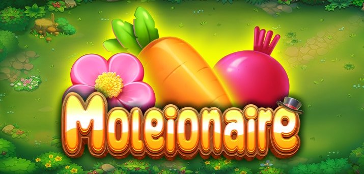 몰리어네어 슬롯 프라그마틱 플레이 온라인 슬롯 리뷰